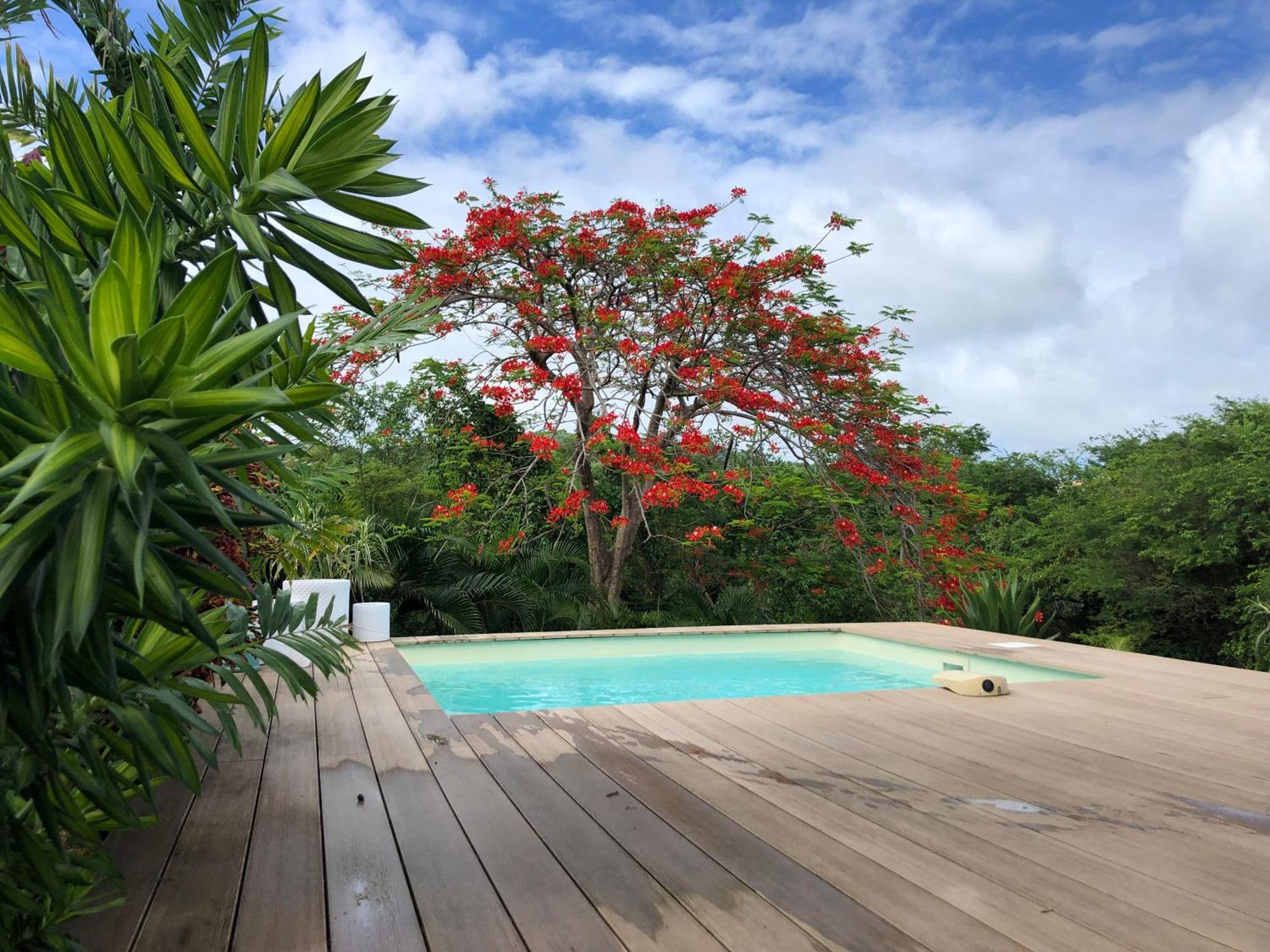 Flambloyant Villa Sainte-Luce Ngoại thất bức ảnh